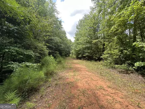 0 Cold Springs Rd, Pine Mountain, GA 31882 photo 4
