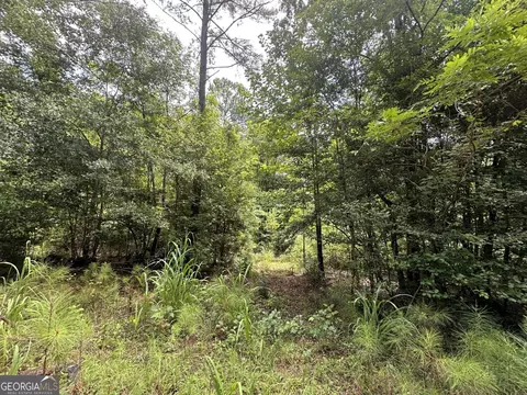 0 Cold Springs Rd, Pine Mountain, GA 31882