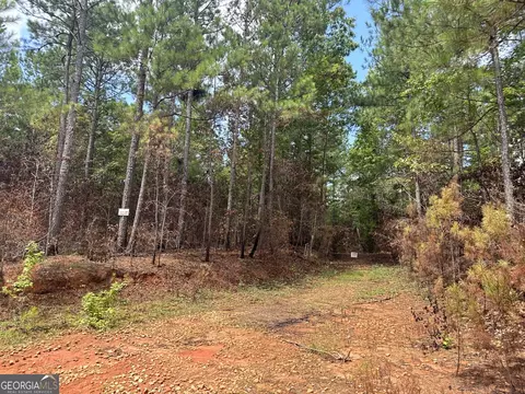 0 Cold Springs Rd, Pine Mountain, GA 31882 photo 3