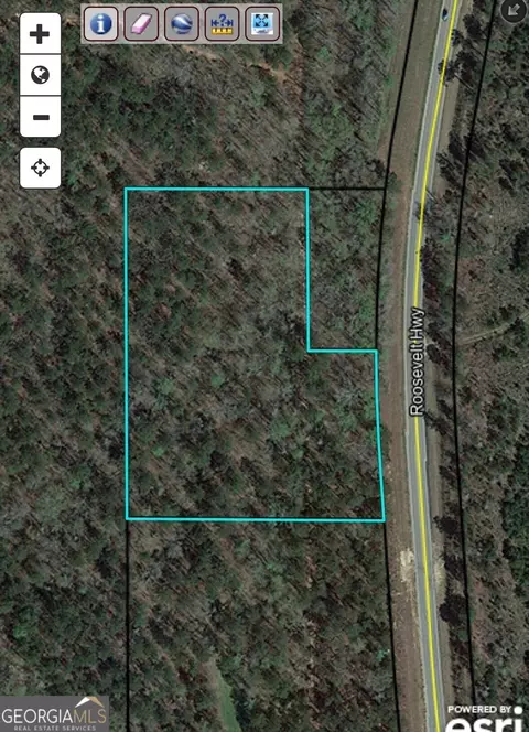 lot1 Roosevelt Hwy, Greenville, GA 30222