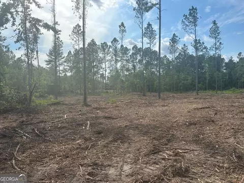 0 Dublin Bedpower Line Rd #LOT 4, Pembroke, GA 31321