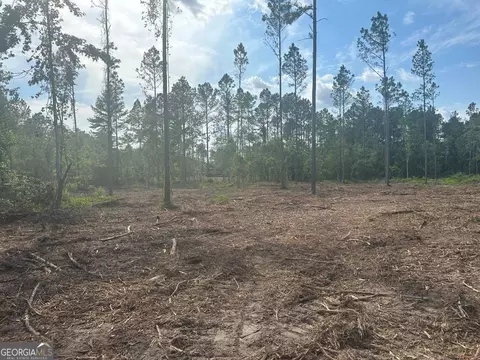 0 Dublin Bedpower Line Rd #LOT 5, Pembroke, GA 31321