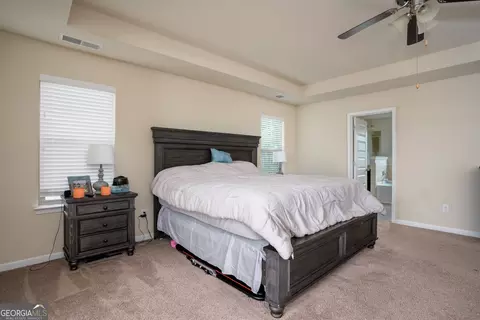 11880 Markham Way, Hampton, GA 30228 photo 30