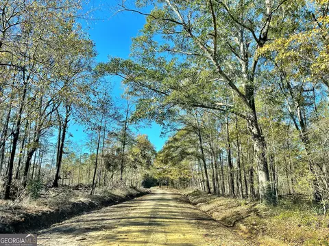 4 Woodland Rd, Jeffersonville, GA 31044