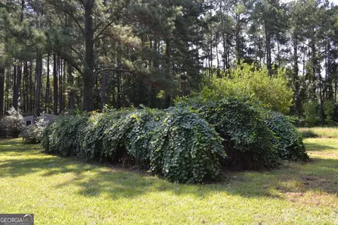 101 Bark Dr, Springfield, GA 31329 photo 21