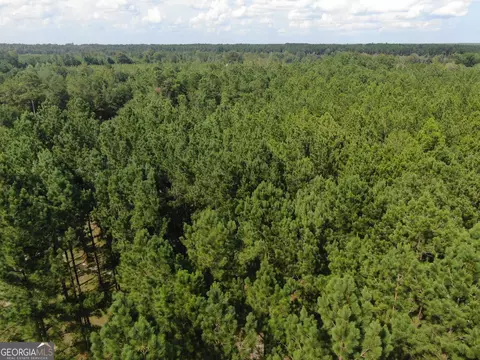 875 County Line Rd, Mount Vernon, GA 30445 photo 41