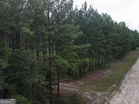 875 County Line Rd, Mount Vernon, GA 30445 photo 61