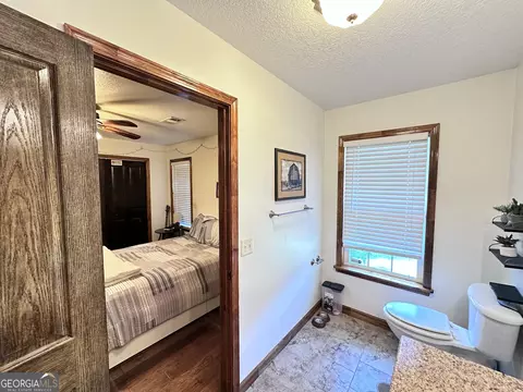 875 County Line Rd, Mount Vernon, GA 30445 photo 19