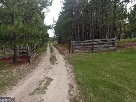 875 County Line Rd, Mount Vernon, GA 30445 photo 39