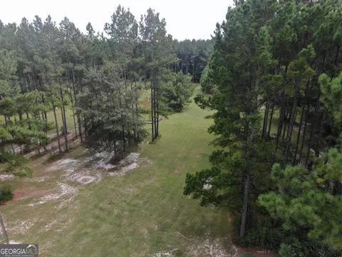 875 County Line Rd, Mount Vernon, GA 30445 photo 55