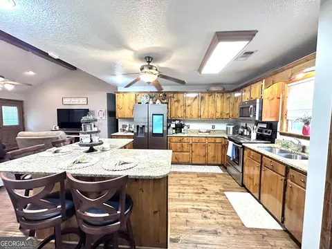 875 County Line Rd, Mount Vernon, GA 30445 photo 13