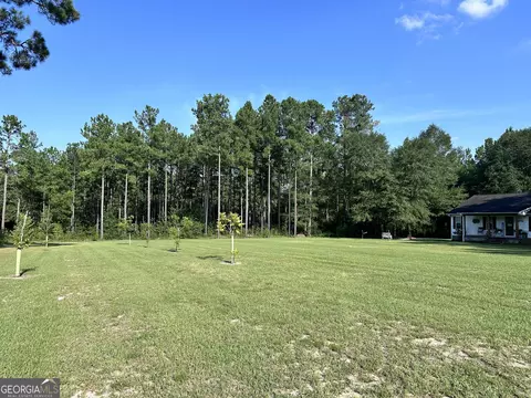 875 County Line Rd, Mount Vernon, GA 30445 photo 5