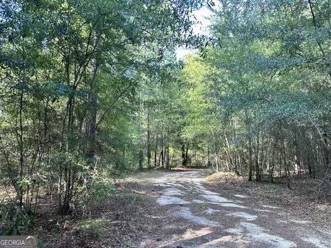 875 County Line Rd, Mount Vernon, GA 30445 photo 8