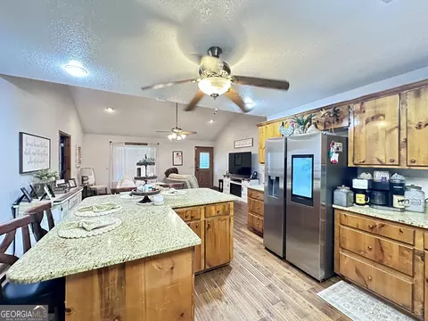 875 County Line Rd, Mount Vernon, GA 30445 photo 11