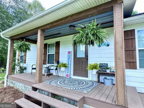 875 County Line Rd, Mount Vernon, GA 30445 photo 35