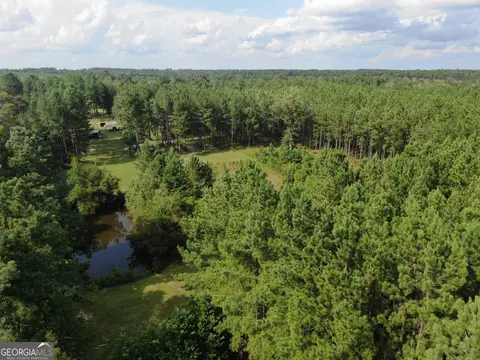 875 County Line Rd, Mount Vernon, GA 30445 photo 51