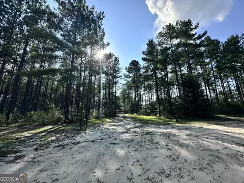 875 County Line Rd, Mount Vernon, GA 30445 photo 7