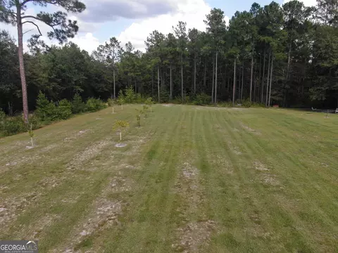 875 County Line Rd, Mount Vernon, GA 30445 photo 47