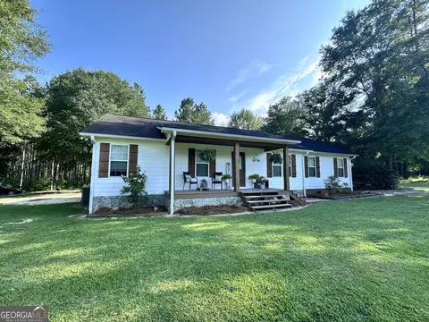 875 County Line Rd, Mount Vernon, GA 30445 photo 3