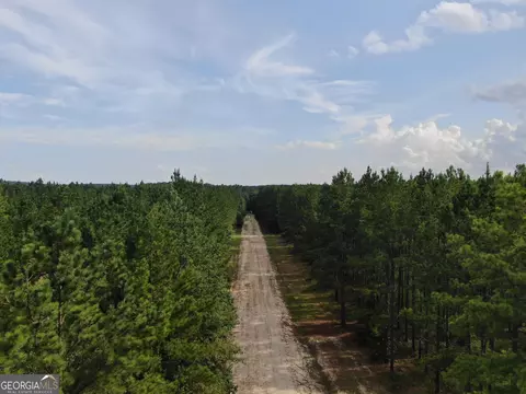 875 County Line Rd, Mount Vernon, GA 30445 photo 59