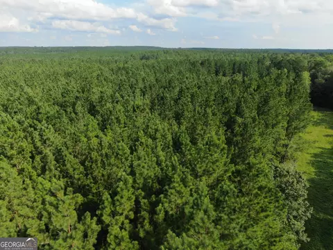 875 County Line Rd, Mount Vernon, GA 30445 photo 50