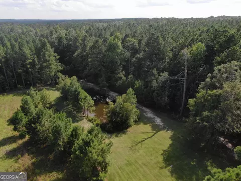 875 County Line Rd, Mount Vernon, GA 30445 photo 40