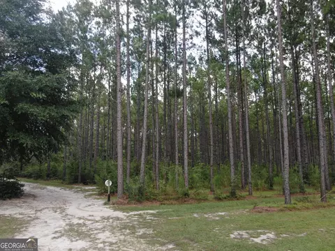 875 County Line Rd, Mount Vernon, GA 30445 photo 58