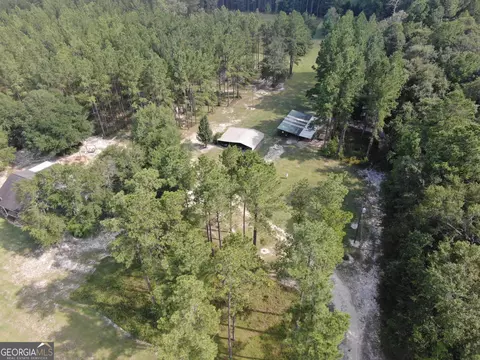 875 County Line Rd, Mount Vernon, GA 30445 photo 42