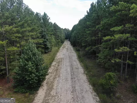 875 County Line Rd, Mount Vernon, GA 30445 photo 60
