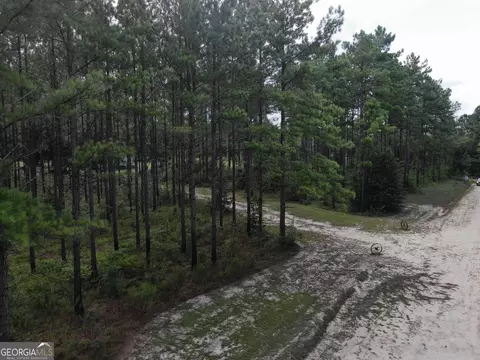 875 County Line Rd, Mount Vernon, GA 30445 photo 62