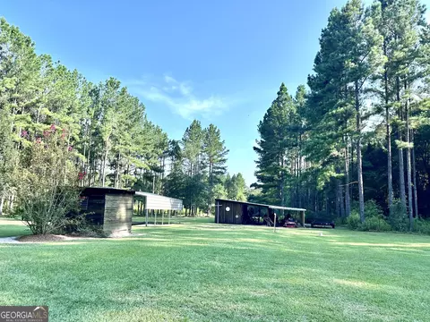 875 County Line Rd, Mount Vernon, GA 30445 photo 10
