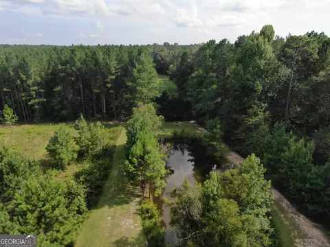 875 County Line Rd, Mount Vernon, GA 30445 photo 49