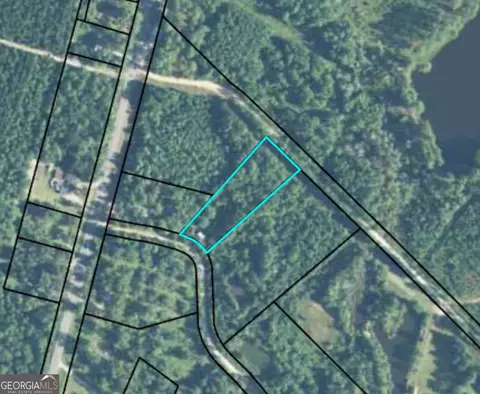 0 Knowles Ln, Mc Rae, GA 31055 photo 2