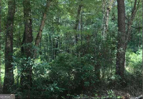 0 Knowles Ln, Mc Rae, GA 31055