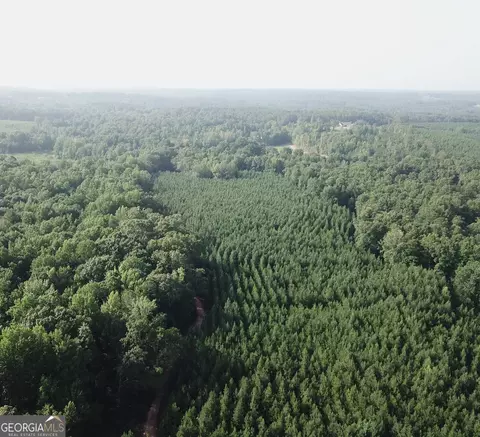 0 Gum Creek Airport Rd, Roopville, GA 30170
