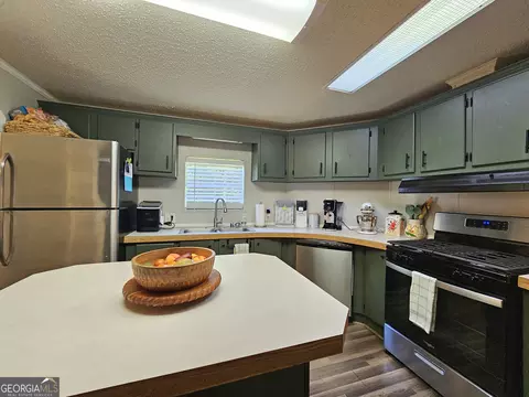 2811 Notnomis Rd, Franklin, GA 30217 photo 21