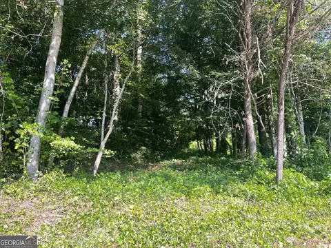 1 87 Ac Hwy 180 Richard Russell, Blairsville, GA 30512