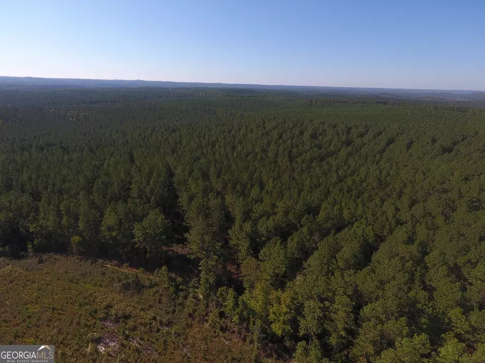 0 Coaling Rd #9221-B, Cedartown, GA 30125 photo 14
