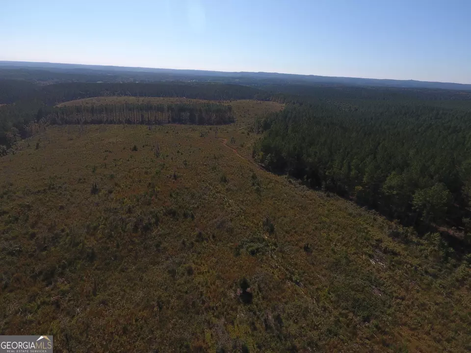  0 Coaling Rd #9221-D, Cedartown, GA 30125 photo 13