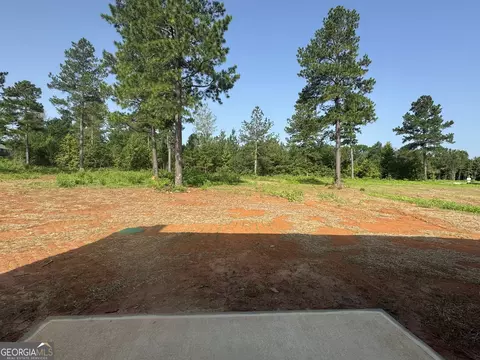 436 Gray Wolf Dr, Macon, GA 31216 photo 11
