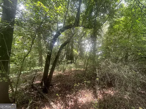 0 Bevis St, Bowdon, GA 30108 photo 9