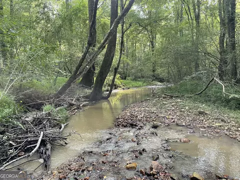 0 County Road 689, Ranburne, GA 30217 photo 34
