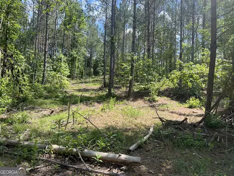 0 County Road 689, Ranburne, GA 30217 photo 54