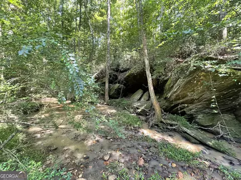 0 County Road 689, Ranburne, GA 30217 photo 28