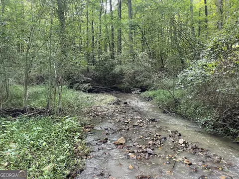 0 County Road 689, Ranburne, GA 30217 photo 2