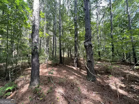 0 County Road 689, Ranburne, GA 30217 photo 30