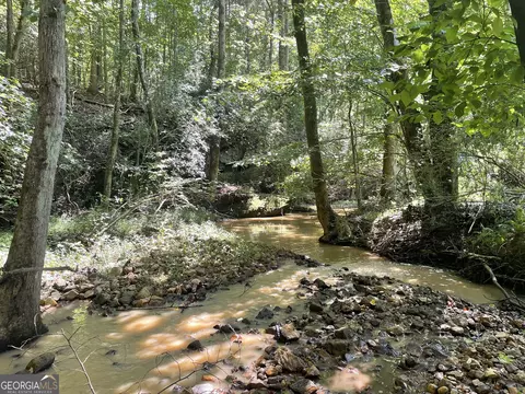 0 County Road 689, Ranburne, GA 30217 photo 25