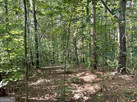 0 County Road 689, Ranburne, GA 30217 photo 29