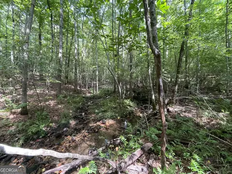 0 County Road 689, Ranburne, GA 30217 photo 23