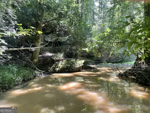 0 County Road 689, Ranburne, GA 30217 photo 3